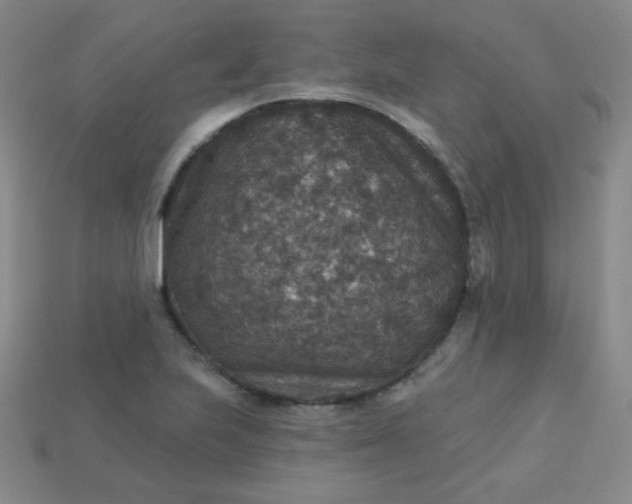 X0000113181223200909181846