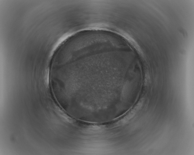 X0000113181224200909181846