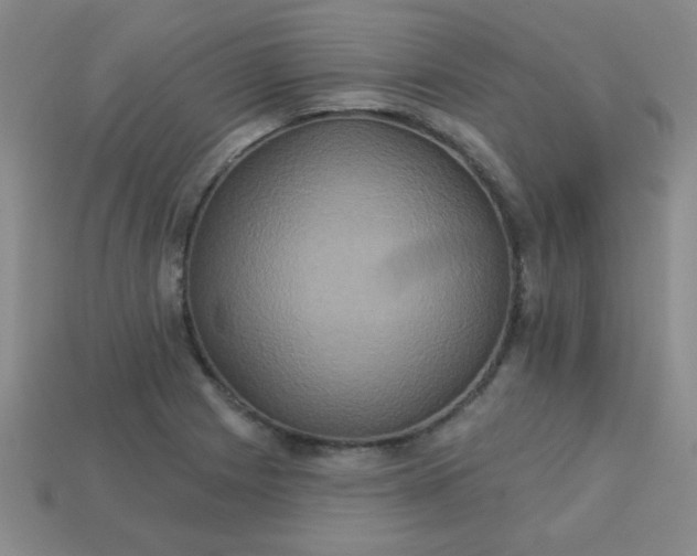 X0000113181225200909181846