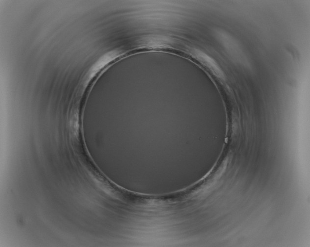 X0000113181226200909181846