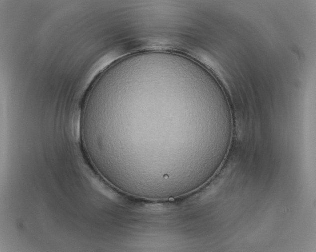 X0000113181227200909181846