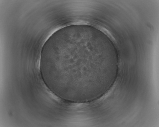 X0000113181228200909181846