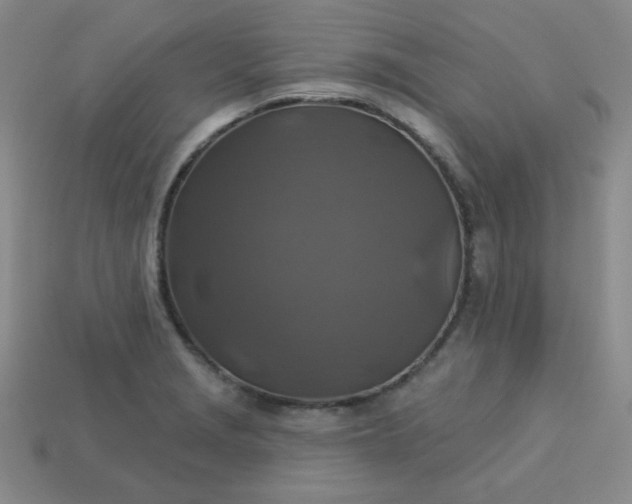 X0000113181229200909181846