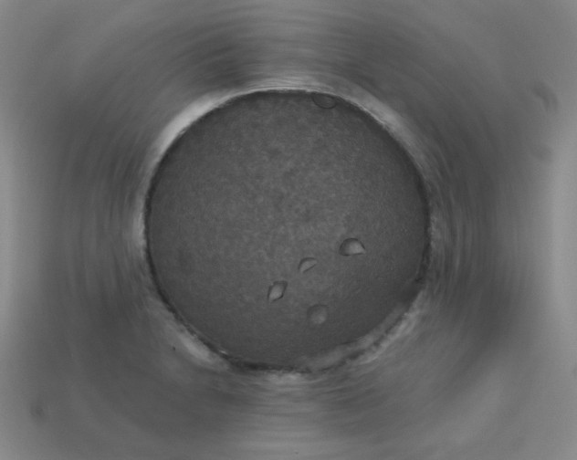 X0000113181230200909181846