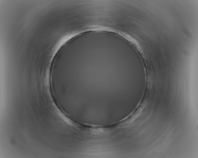 X0000113181231200909181846