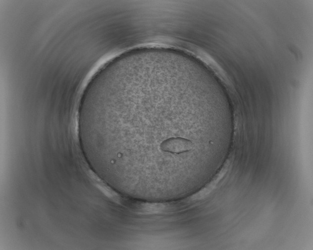 X0000113181232200909181846