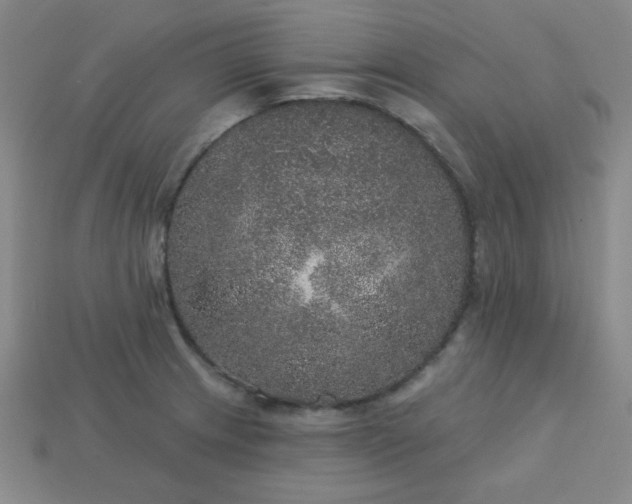 X0000113181233200909181846