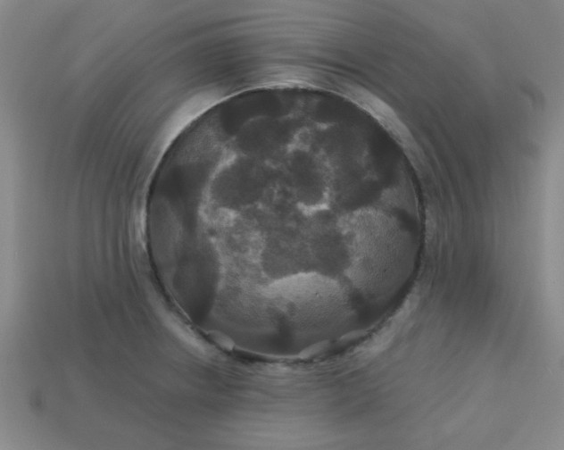 X0000113181234200909181846