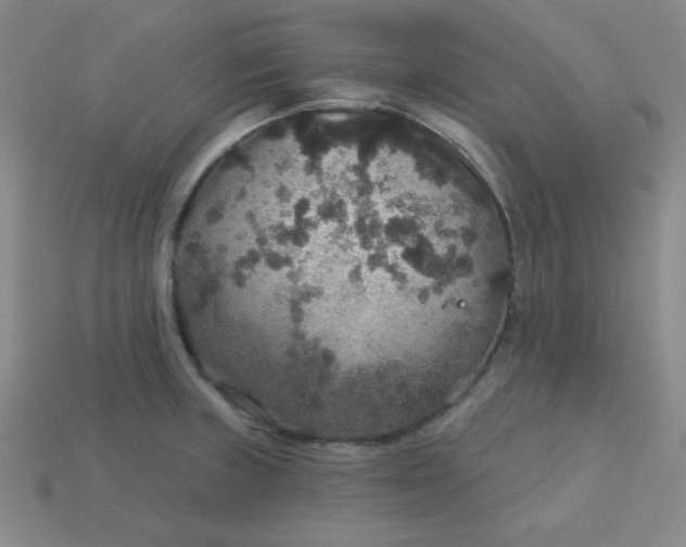 X0000113181235200909181846