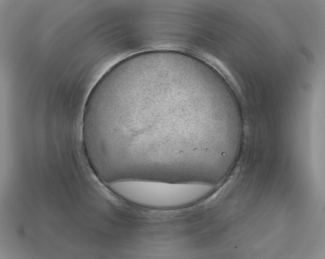 X0000113181236200909181846