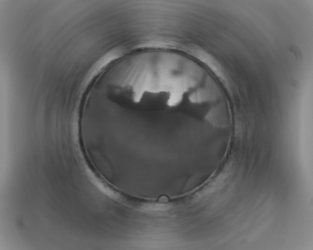 X0000113181237200909181846