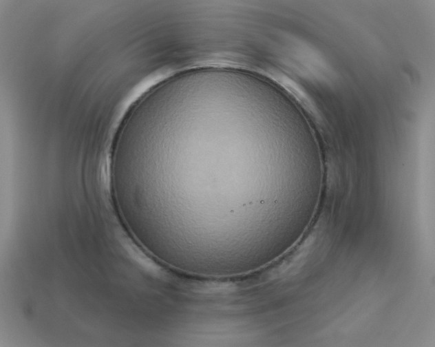 X0000113181238200909181846