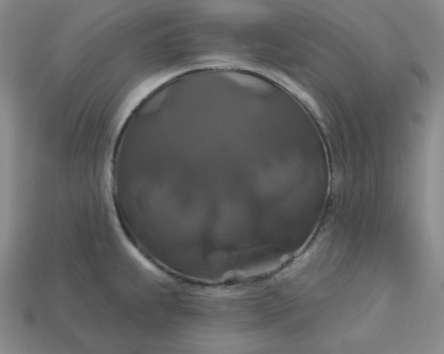 X0000113181239200909181846