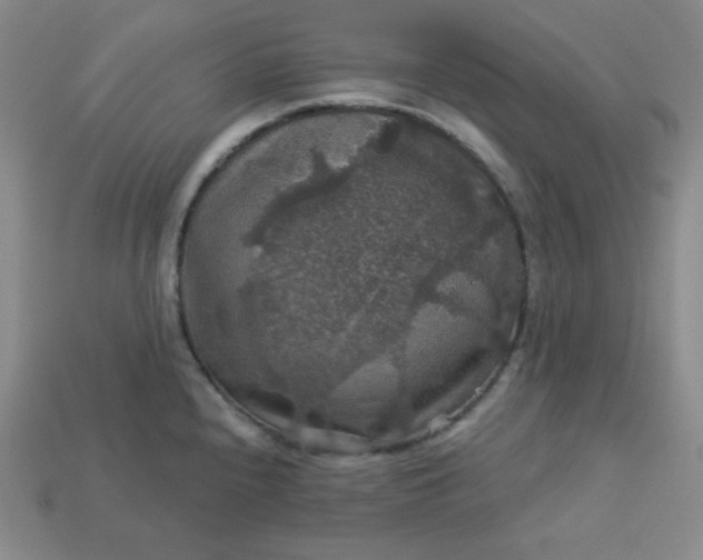 X0000113181240200909181846