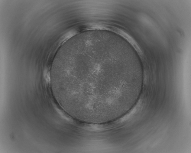 X0000113181241200909181846