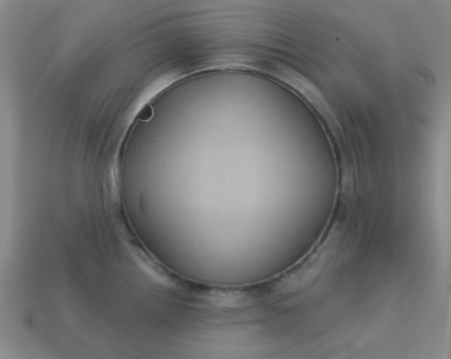 X0000113181242200909181847