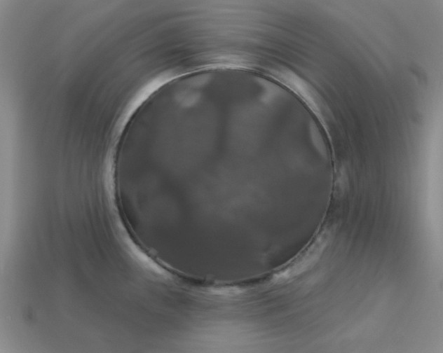 X0000113181243200909181847