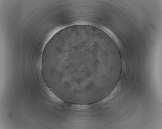 X0000113181244200909181847