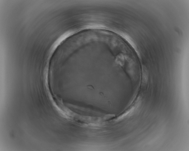 X0000113181245200909181847