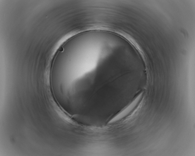 X0000113181246200909181847