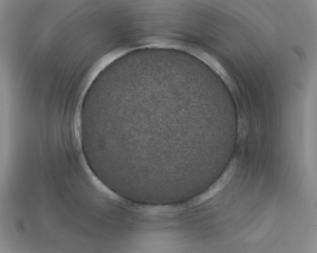 X0000113181247200909181847