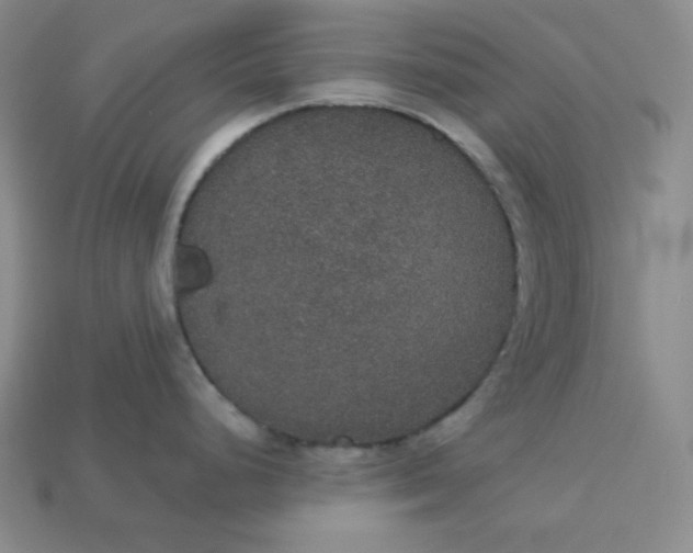 X0000113181248200909181847