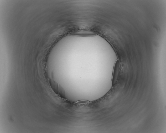 X0000113181249200909181846