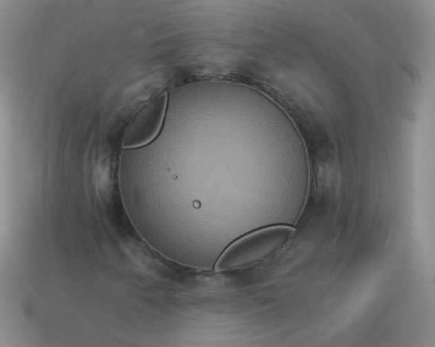 X0000113181250200909181846