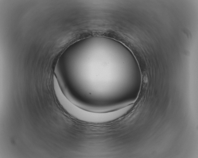 X0000113181252200909181846