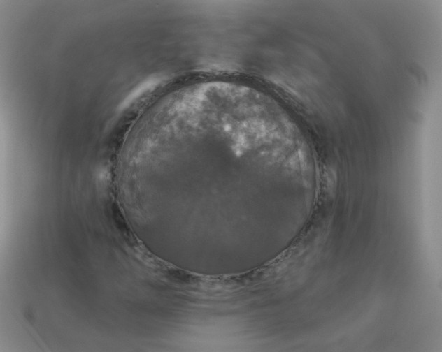 X0000113181254200909181846