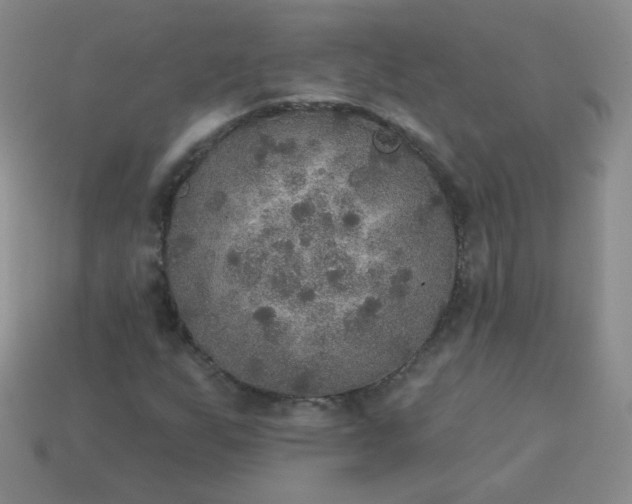 X0000113181255200909181846