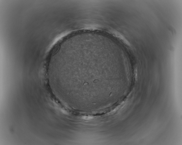 X0000113181256200909181846