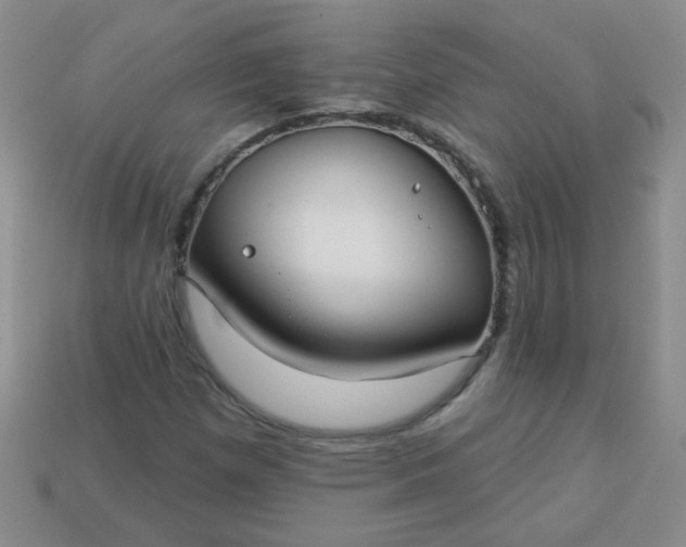 X0000113181257200909181846