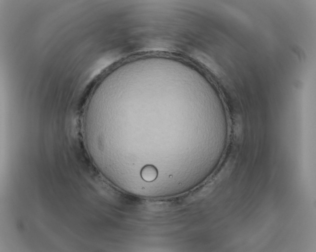 X0000113181258200909181846