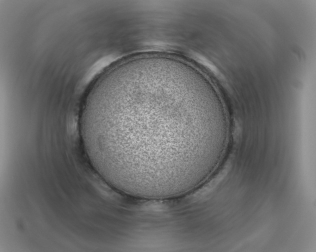 X0000113181259200909181846