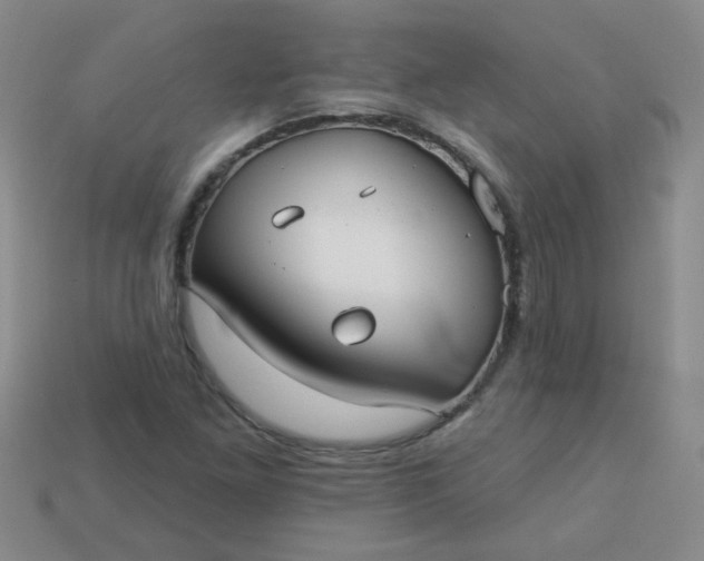 X0000113181261200909181846