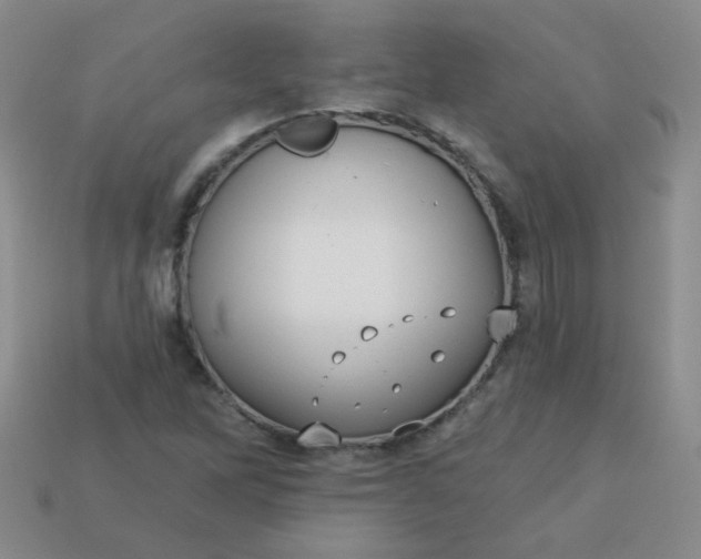 X0000113181262200909181846