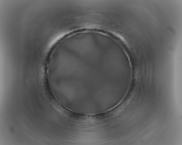 X0000113181263200909181846