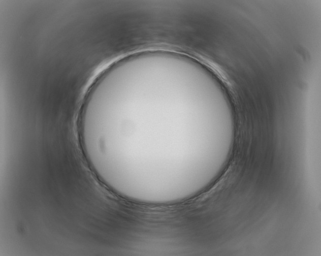 X0000113181264200909181846