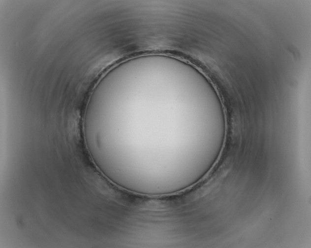 X0000113181265200909181846