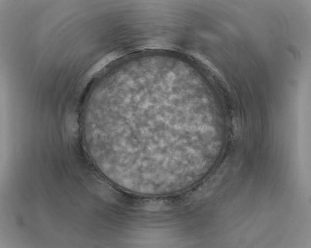 X0000113181266200909181846