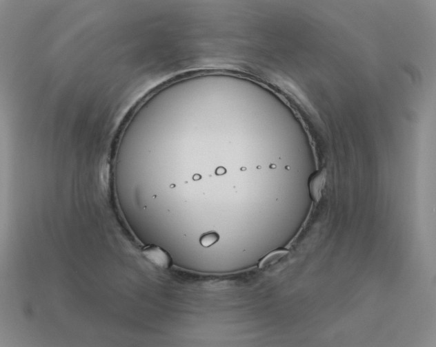 X0000113181268200909181846