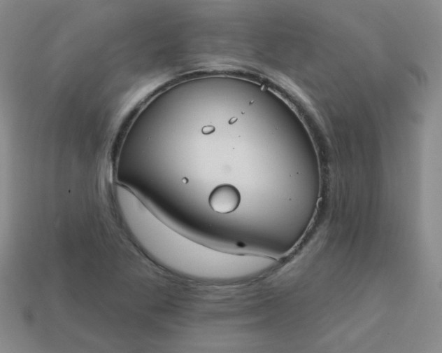 X0000113181269200909181846