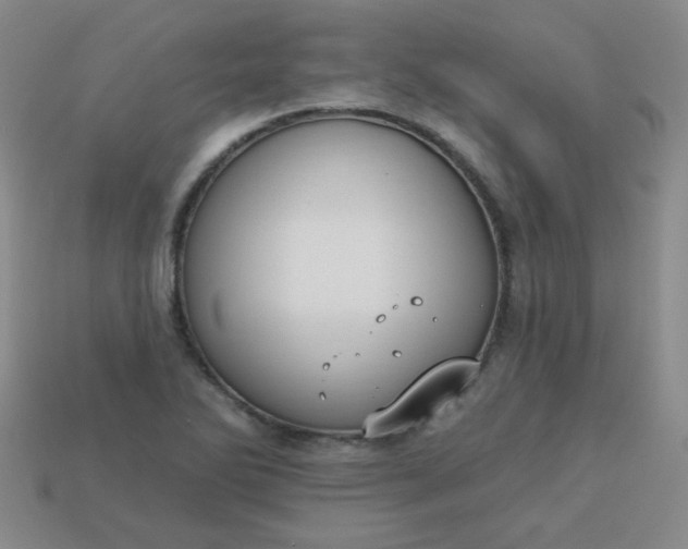 X0000113181270200909181846