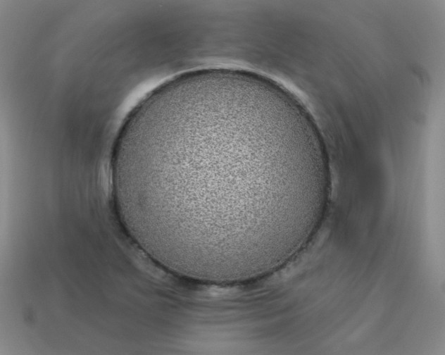 X0000113181271200909181846