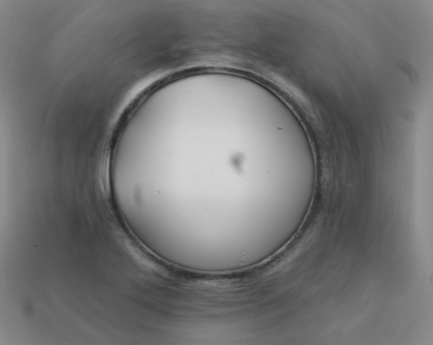 X0000113181272200909181846