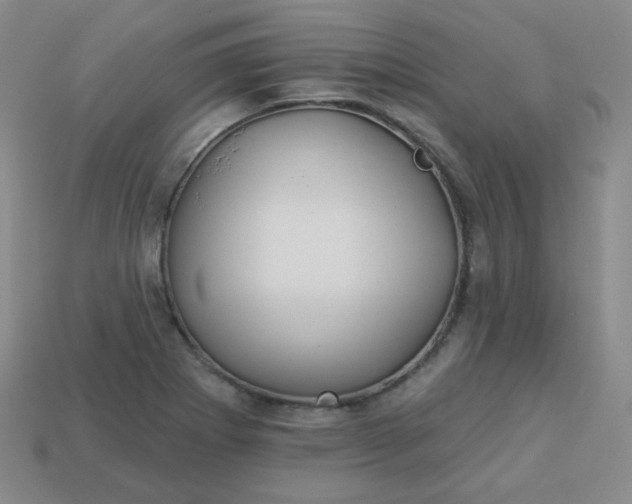 X0000113181273200909181846