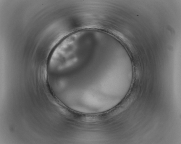 X0000113181274200909181846