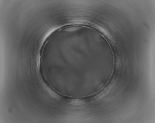 X0000113181275200909181846