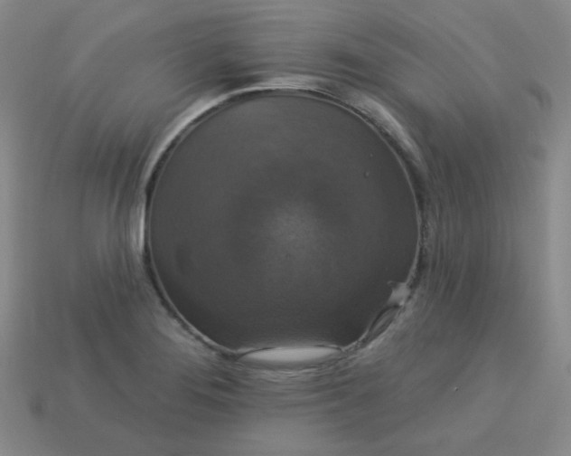 X0000113181276200909181846